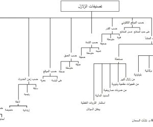 تصنيف الزلازل وفق عدة معايير